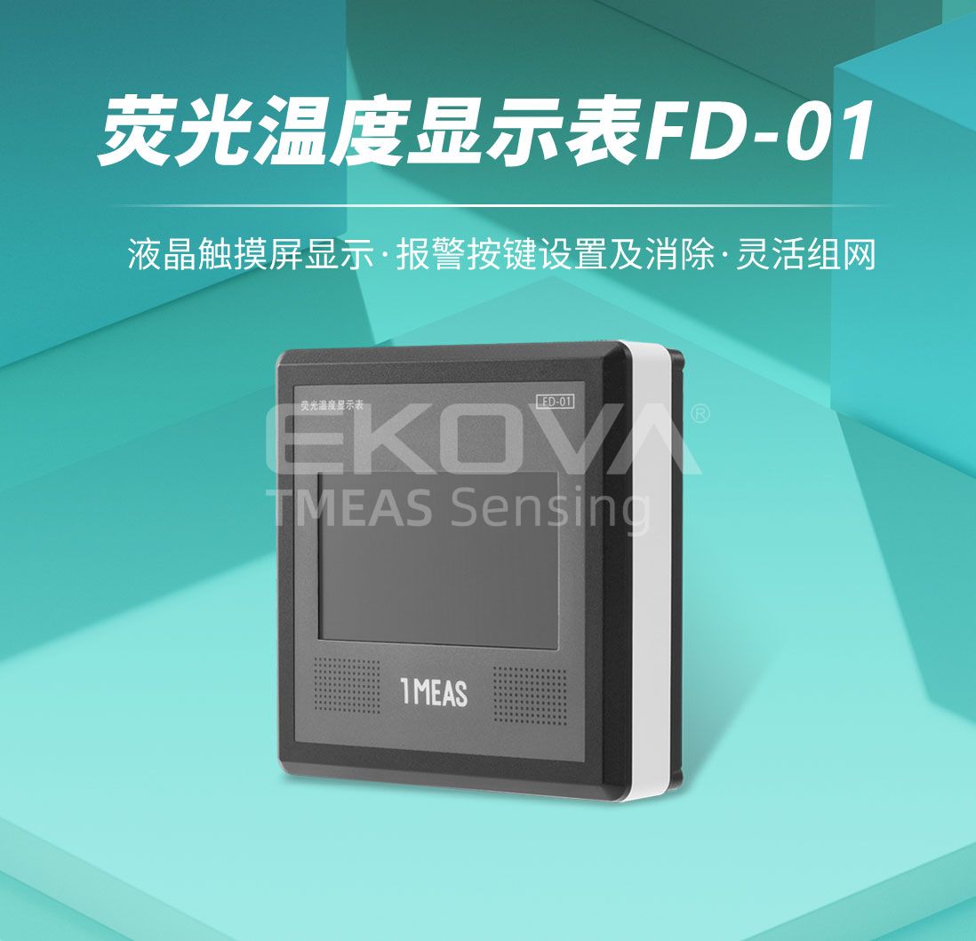 熒光溫度顯示表FD-01